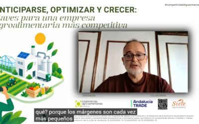 Cooperativas Agro-alimentarias de Andalucía reúne a expertos en vigilancia tecnológica, eficiencia energética y agromarketing internacional en una webinar sobre cómo ganar en competitividad